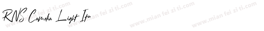 RNS Camelia Light It字体转换